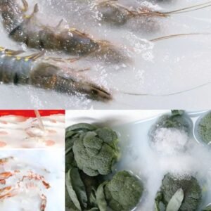 Slurry Ice for Fruit & Seafood Preservation